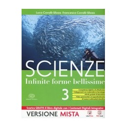 CHE MERAVIGLIA! VOLUME A (STORIA ARTE) + VOLUME B (LING. TECNICHE) + ALBUM VOL. U