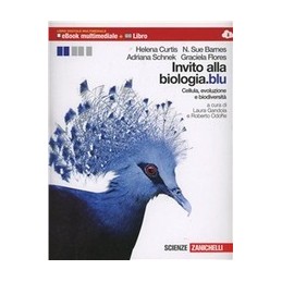 IL LINGUAGGIO DELLA CHIMICA - PRIMO BIENNIO