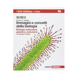 IDISCOVER  VOL.3 + EASY LEARNING WITH GAMES