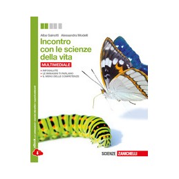 IL WALKER  PRIMO BIENNIO