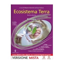 IL BELLO DELLA LETTERATURA VOL.2+ VERSIONE CON I CONTENUTI DI BASE