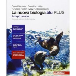 PUNTO COM  VOL.A  (CLT) 2EDIZIONE
