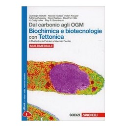 CHIMICA: CONCETTI E MODELLI 3ED. (LDM) DALLA STECHIOMETRIA ALL`ELETTROCHIMICA VOL. 2