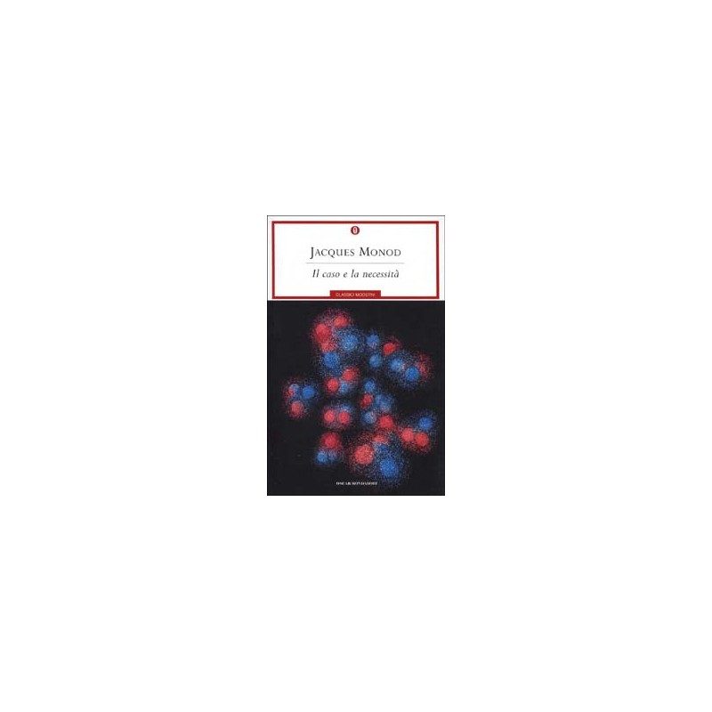 PAROLE E I TESTI (LE) IL LIBRO DI GRAMMATICA VOL. U PAROLE E I TESTI (LE) IL LIBRO DI GRAMMATICA VOL. U