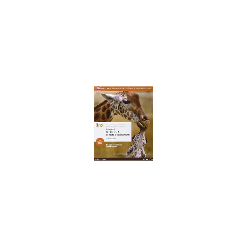 PROFESSORE SCOMPARSO (CIMA)
