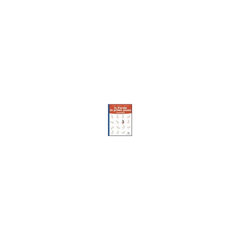 VOLANT LARGE ADDRESS PINK VOLANT LARGE ADDRESS PINK