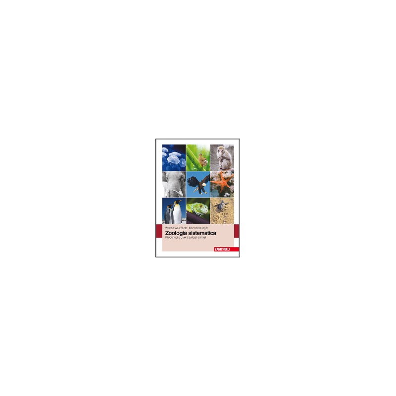 TECHNO EDIZIONE VERDE CON OPENBOOK - PROGETTAZIONE+TECNOLOGIA+ENERGIA+DISEGNO+TAVOLE+EXTRAKIT+OPENB TECHNO EDIZIONE VERDE CON OPENBOOK - PROGETTAZIONE+TECNOLOGIA+ENERGIA+DISEGNO+TAVOLE+EXTRAKIT+OPENB