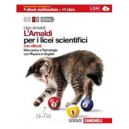 RELIGIONE (LA)   UMANITA` IN RICERCA 2  VOL. 2