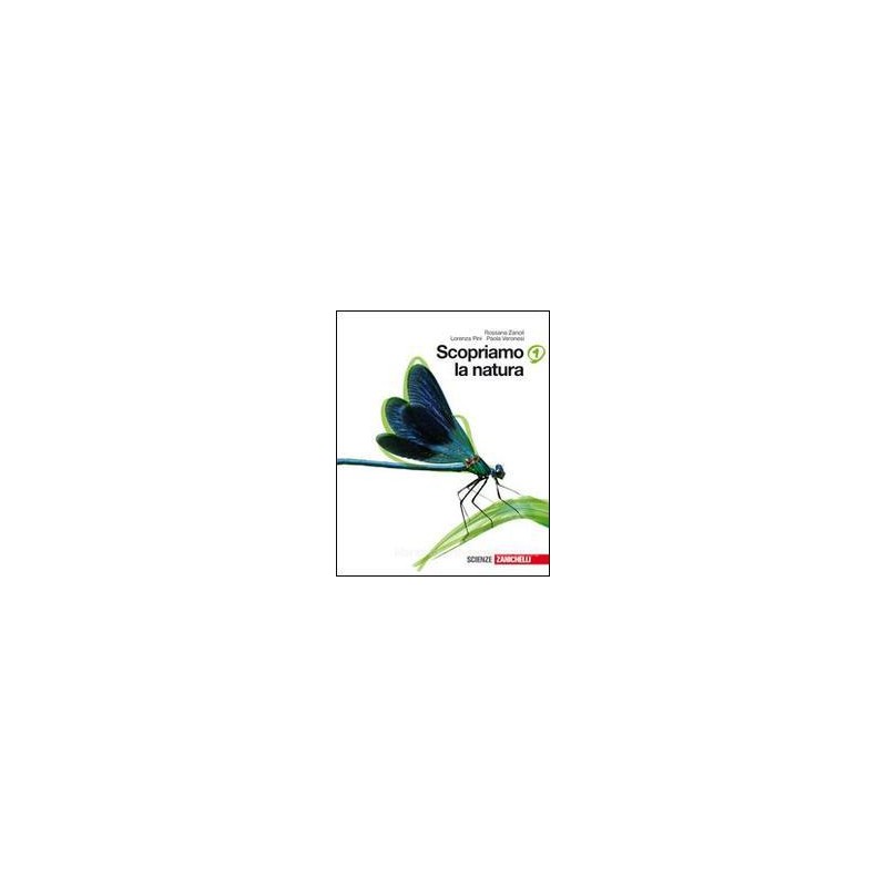 SCHEDE DI ALGEBRA 1 TERZA EDIZIONE RAPPRESENTAZIONI GRAFICHE   PROBABILITA`   STATISTICA VOL. 1