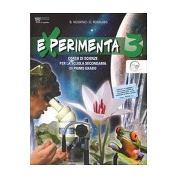 IL NUOVO MILLENNIUM  VOL.1 ED.PLUS  CON DVD  DAL MILLE ALLA MET? DEL SEICENTO + DVD