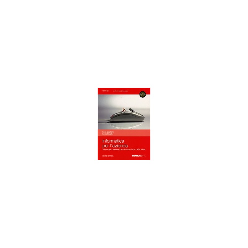 ACCOUNT  INFORMATICA E COMUNICAZIONE IN AZIENDA